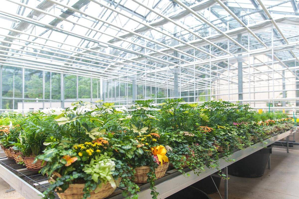 玻璃温室大棚怎么建?选址,设计,施工,调试,都在这里了