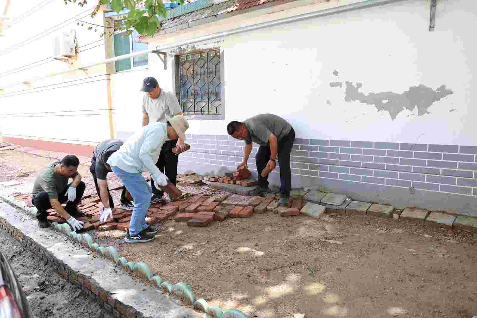 【寿光】稻田镇:人大代表显担当,助力人居环境"旧貌"换"新颜"_整治