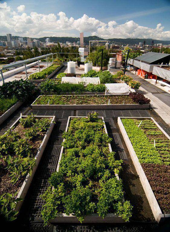 露台只种菜太奢侈,这些很棒的惊艳设计,美观与实用性兼得!