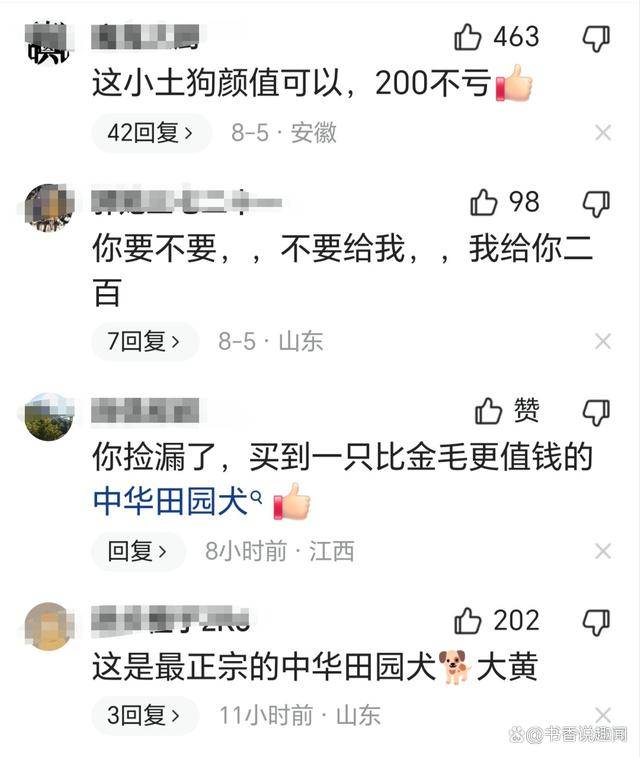 花200元网购金毛，到货一看傻眼了，网友：你捡漏了，它叫金毛