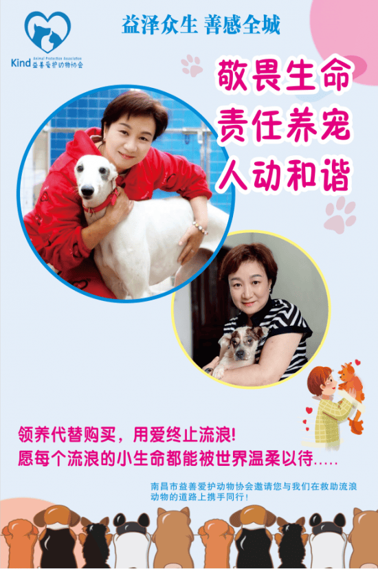 "益善～茶义宠物乐园"启航