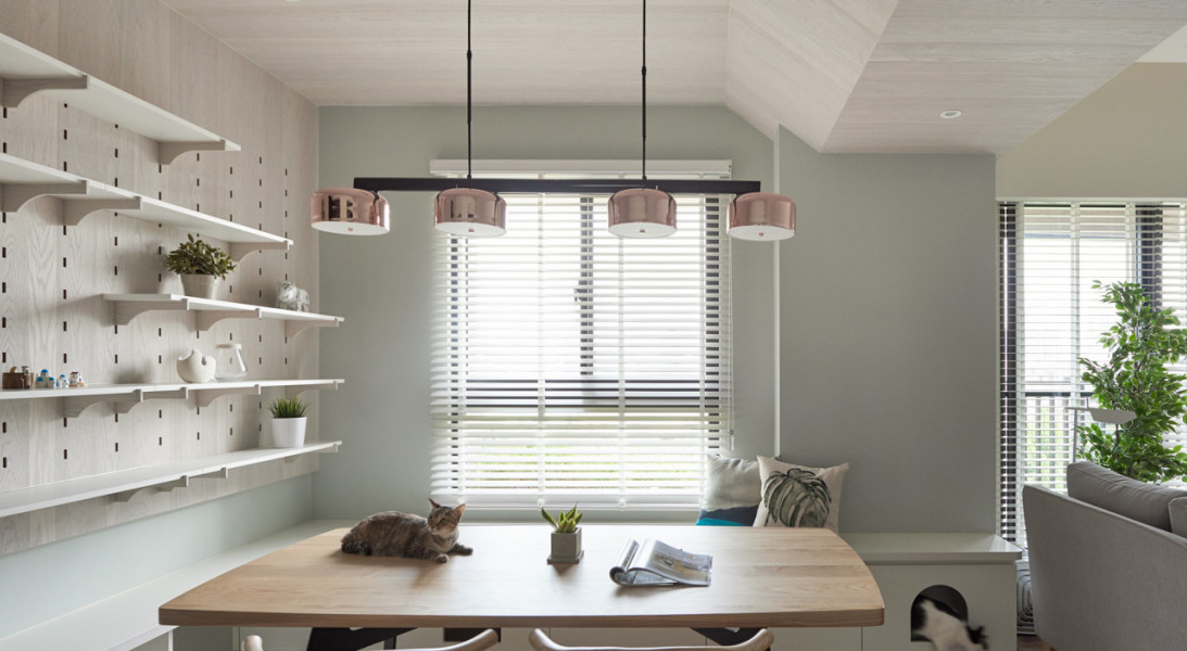 80平小户型北欧风,墙面猫爬架,三人两猫的生活好不惬意?