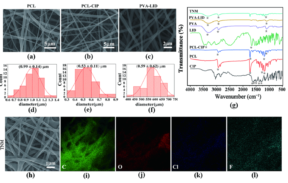 河北工业夏丹副教授等人:具有非对称润湿性的三层纳米纤维敷料,用于