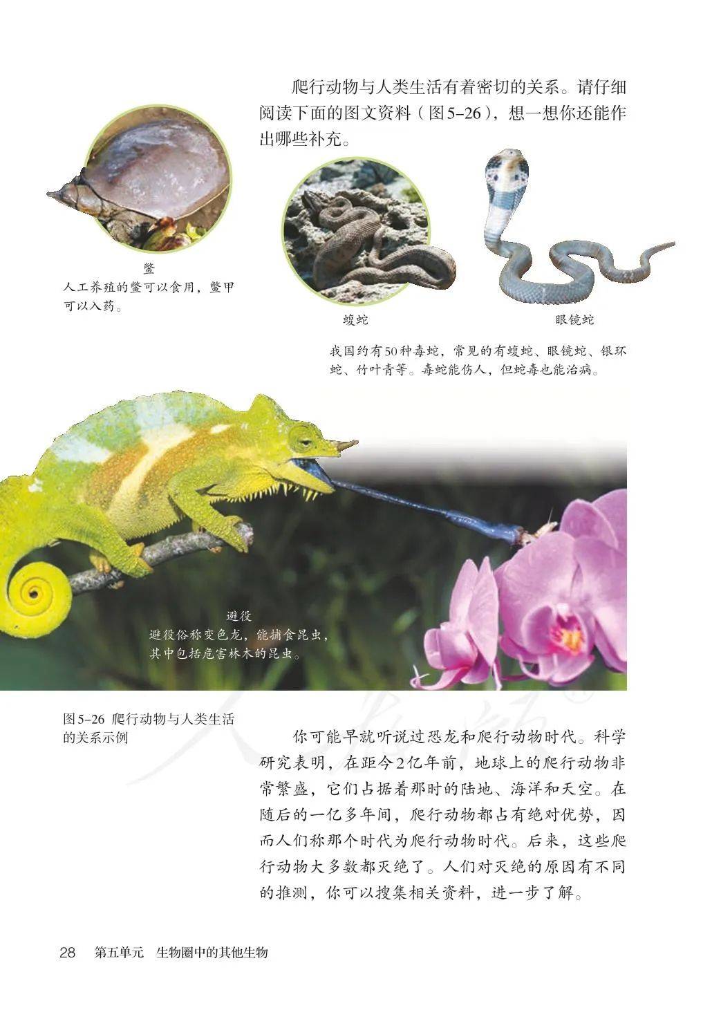 初二上册生物
  第1张