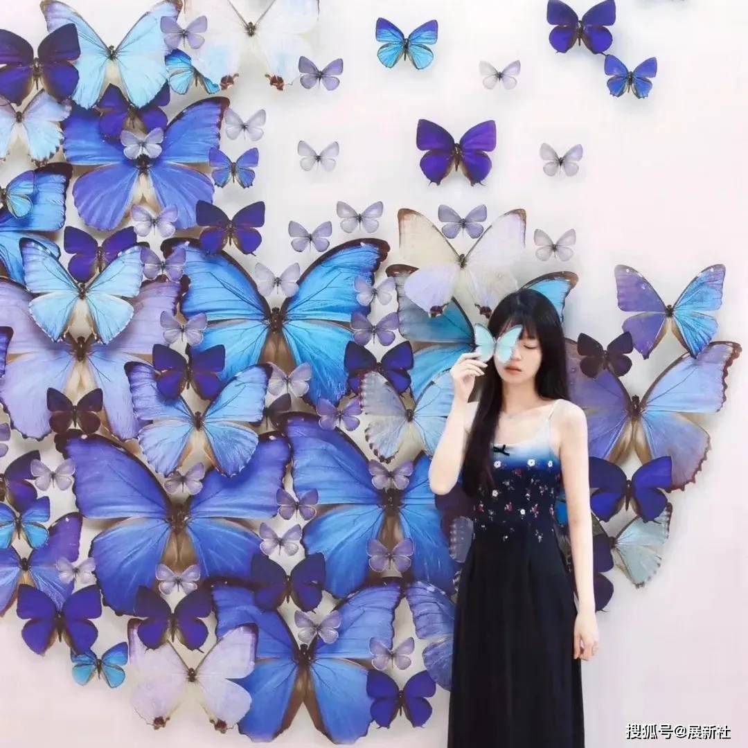 海南首展:克里斯自然艺术展,感受生命亲和之美 -展新社