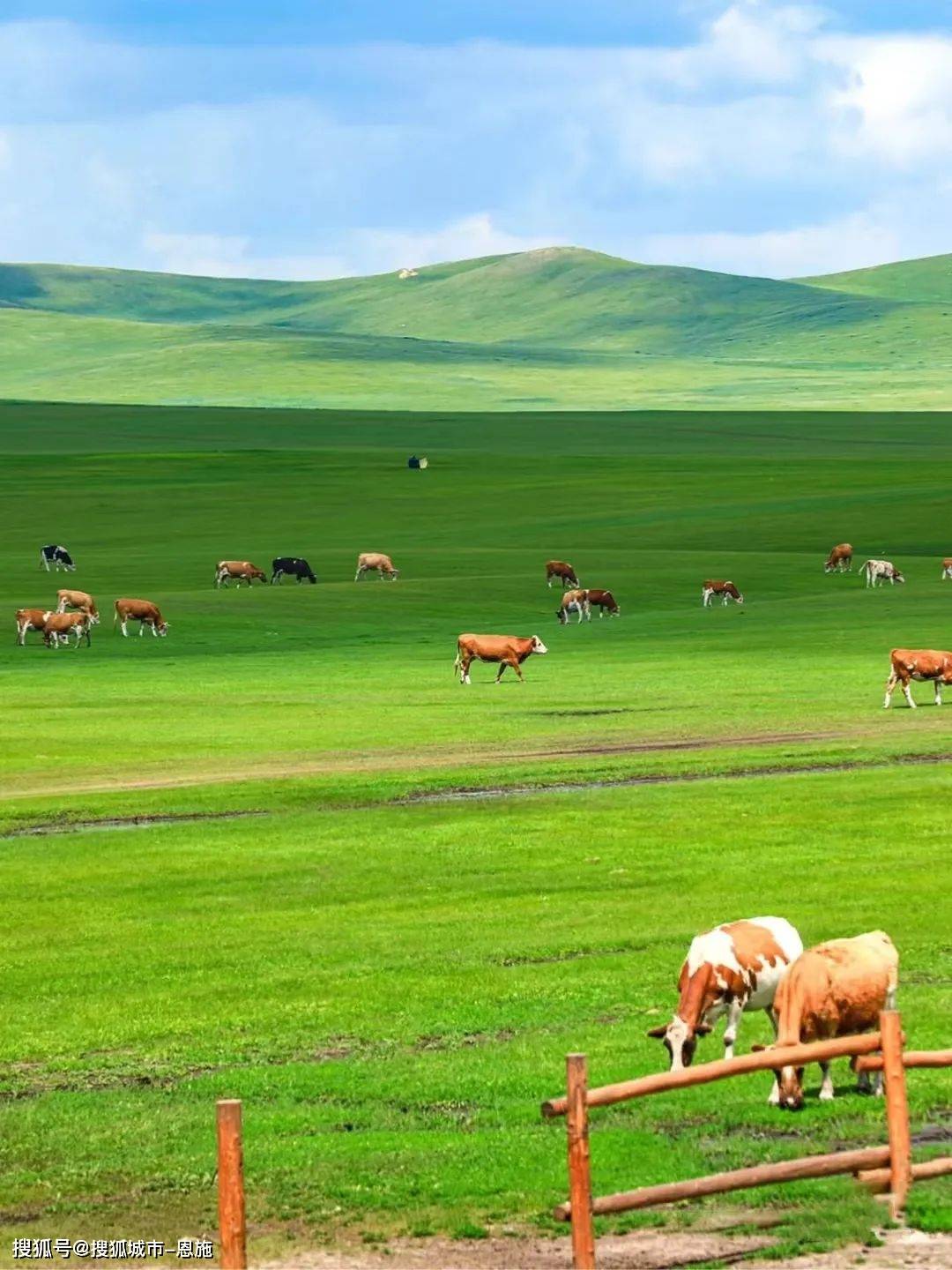 大草原旅游景点排名图片