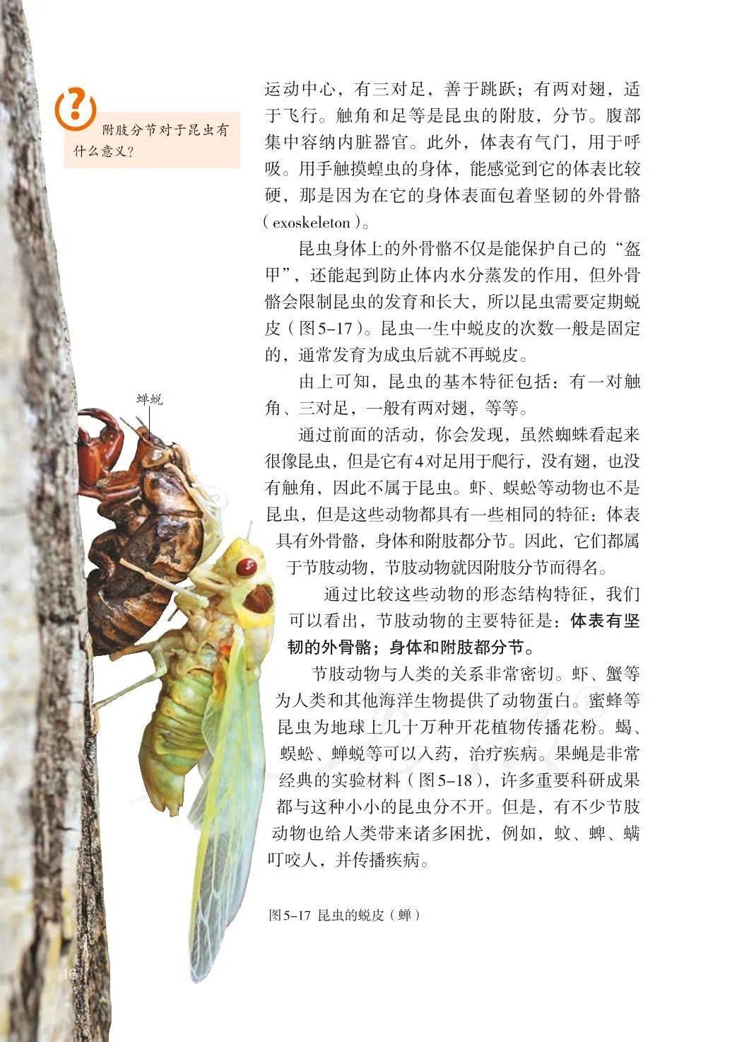 八年级上册人教版生物书(八年级上册人教版生物书电子版高清图片)  第2张