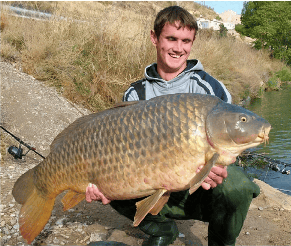 在中国,亚洲鲤鱼基本不超过十斤,为什么在美国却"胖成猪"?
