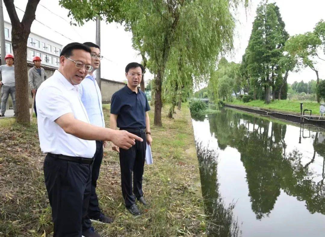 主官抓环保 | 扬中市市长贾晟现场推进省生态环保督察交办问题整改