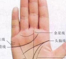 "手如干姜,家道必昌",有这3种手相的女人,注定会富得流油!