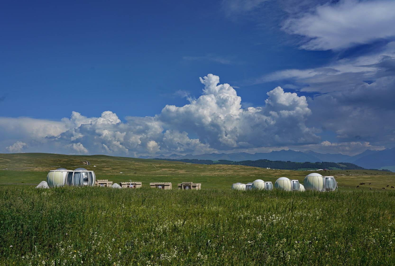说说新疆伊犁的小多家,游玩喀拉峻草原,住他家方便吗?_景区_帐篷_牛羊