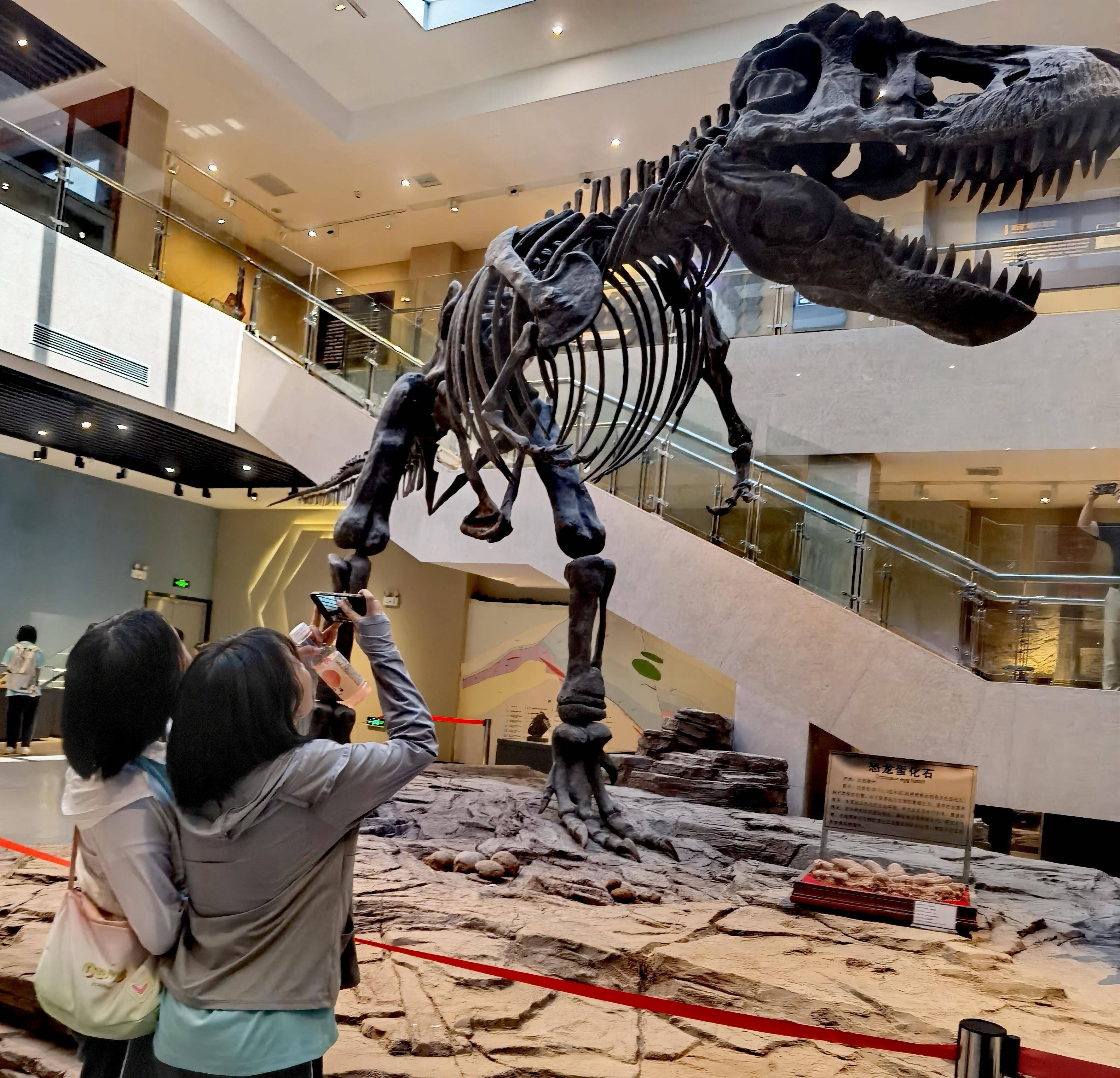 一踏入中南大学地质博物馆,仿佛置身于一个宏大的地球历史长河中.