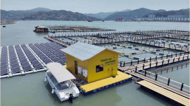 供电公司加快完善配套电网设施,建设宁德核电送出,宁德霞浦核电送出