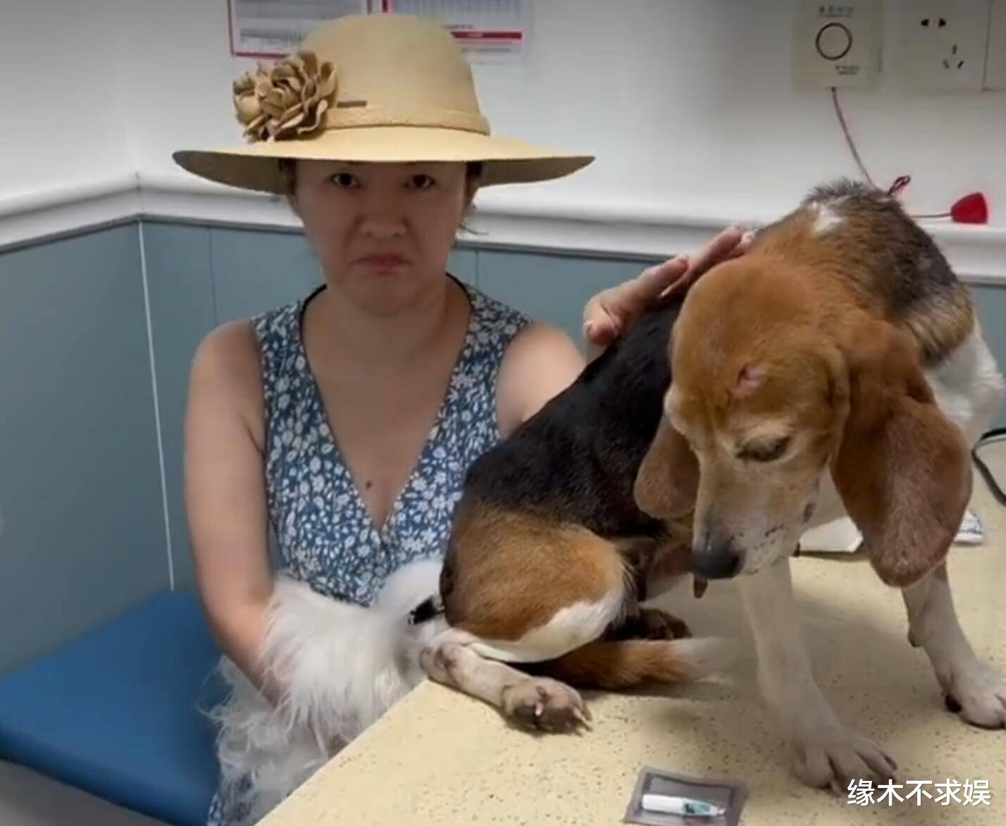 霍思燕一家阿那亚被偶遇,珍珠待遇超嗯哼,10岁嗯哼又高又瘦!