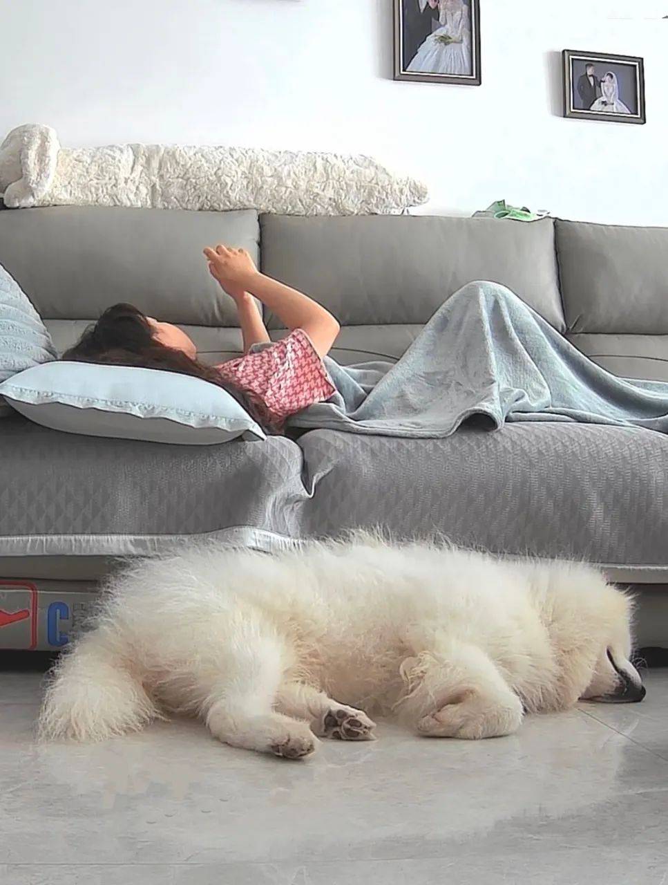 湖南:女子躺沙发上玩手机,突然整个人跳了起来,一只手不停挥舞