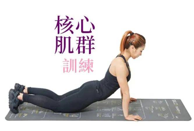 核心肌群,包括腹肌,背肌,骨盆底肌以及环绕脊柱的深层肌肉群,它们共同