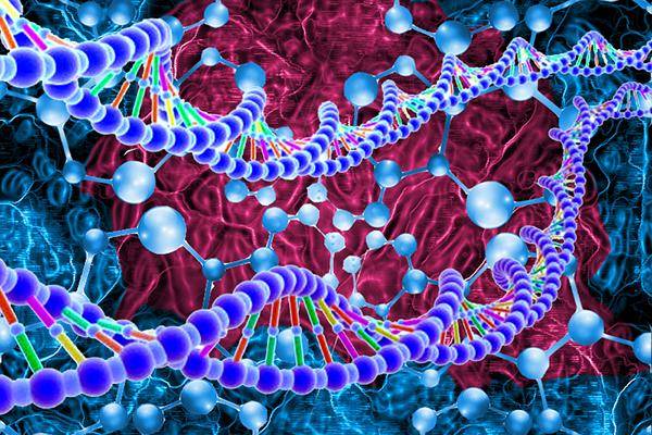 免疫机制被破坏可能造成抗精子免疫反应