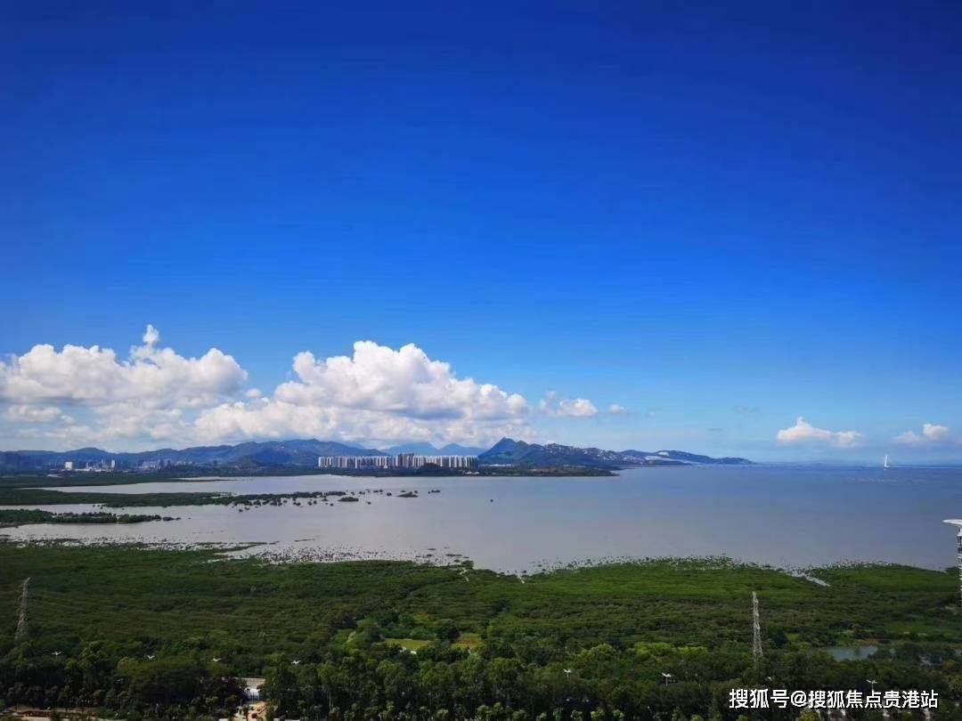 深圳福田中洲湾迎海二期销售电话丨项目介绍丨售楼处电话丨详情图文