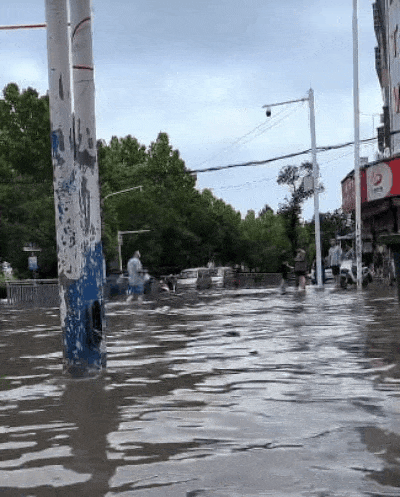 太康暴雨!通知,预警信号连发!今晨各路段实拍!