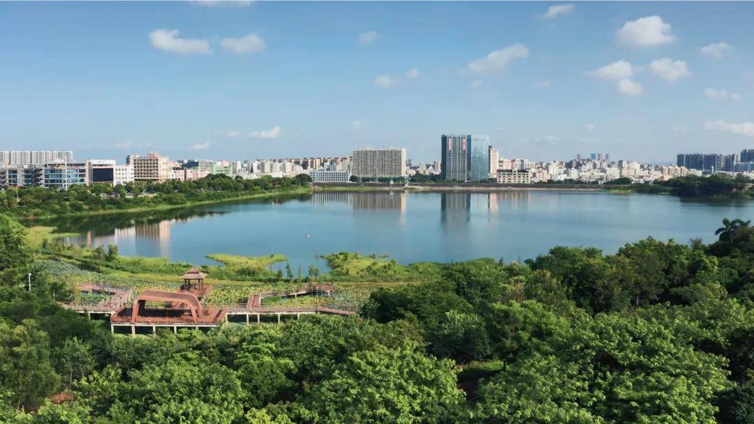 3公里范围内凤凰山森林公园,万丰湖湿地公园等绿境环绕,开启生活诗篇.