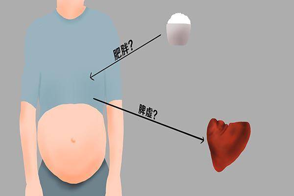 鸡内金是什么?想要健脾应该怎么做?