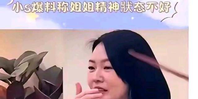 小S才是大S最最黑的粉丝，大S去韩国接具俊烨，被拒！-大s的黑料