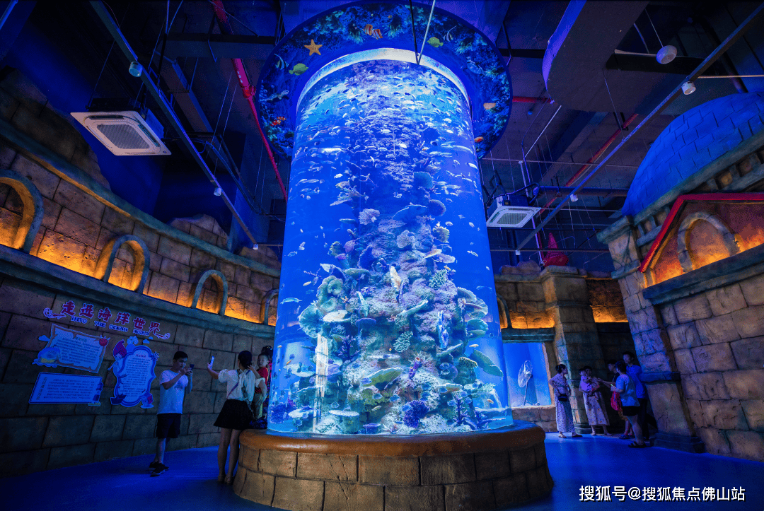 南海海洋亲子乐园梦幻来袭