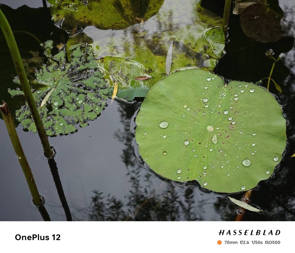 从小米13Ultra升级到一加12真实体验分享!