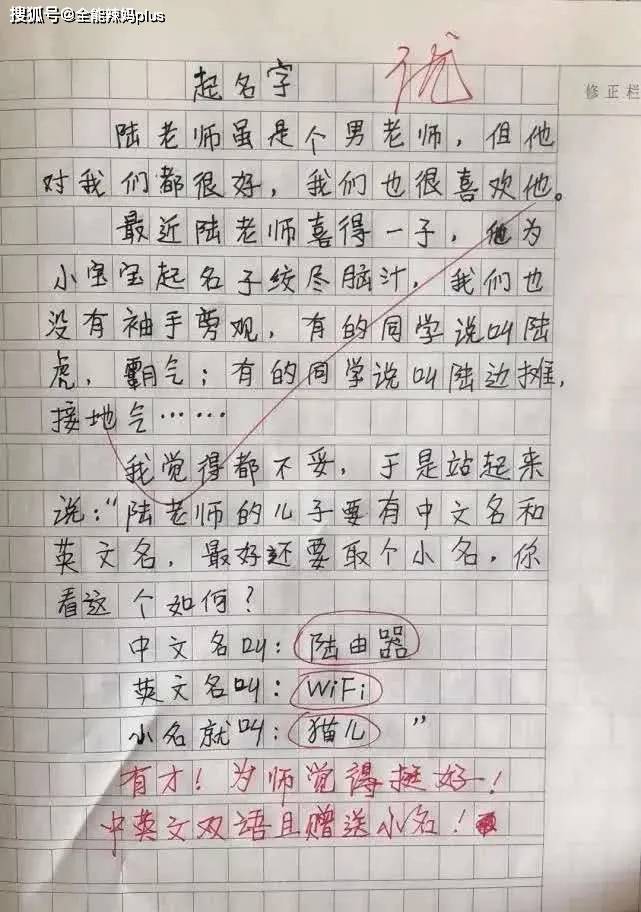 小学生搞笑作文热死了图片