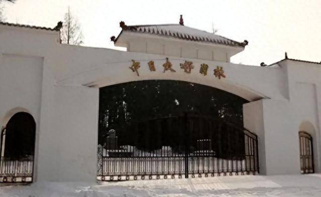 方正县为日军立碑!奢华程度超烈士陵园,五壮士千里砸碑,点赞!