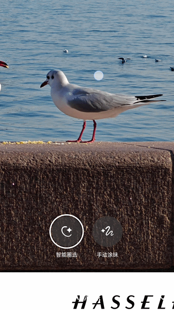 性能怪兽，影像拍摄能力大幅升级！一加12深度体验