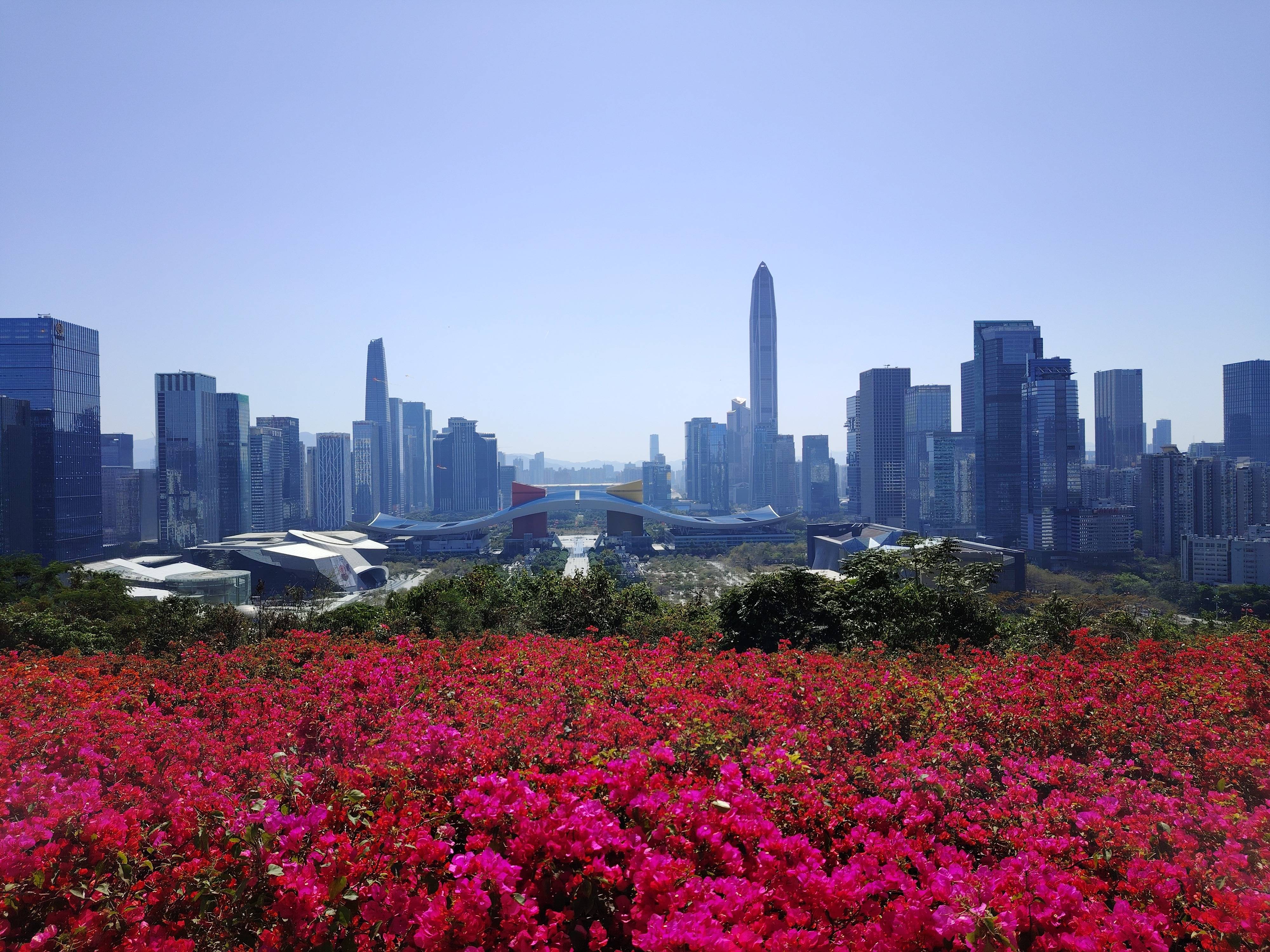 到深圳必打卡的是这个山顶,可以看城市全景