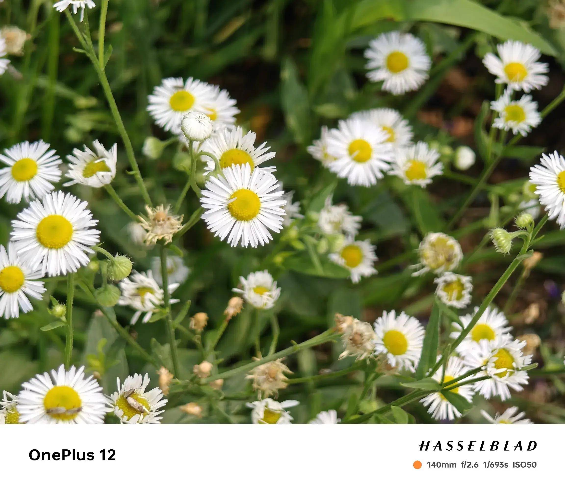 暑假怎么嗨?装备到快乐就到!嗨翻暑假的快乐套装你都中意哪些?