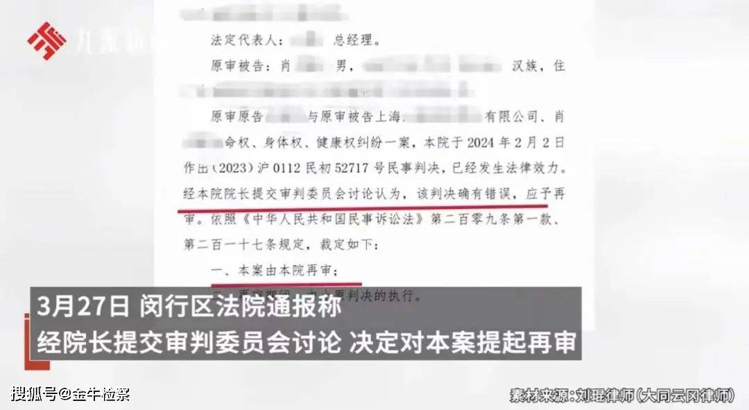 “男子被流浪猫绊倒”案再审宣判：投喂者担责20%-被流浪猫喜欢