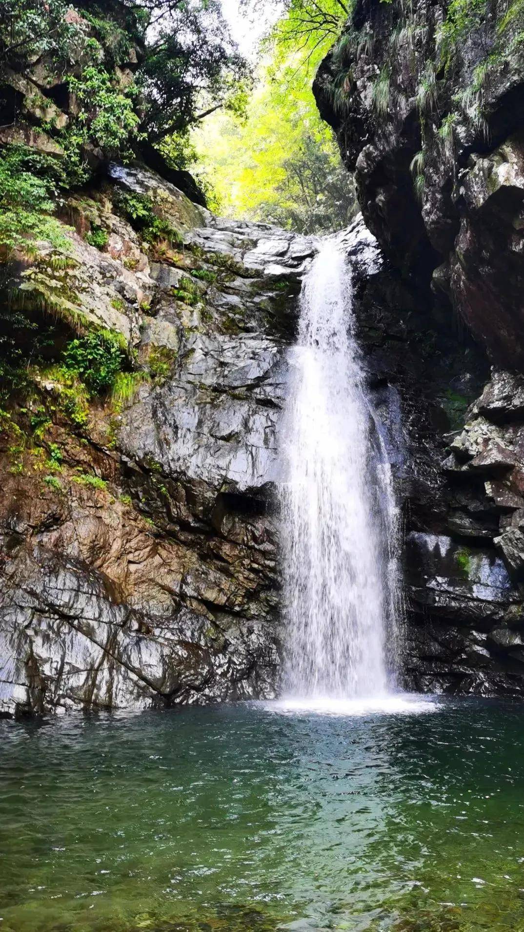 静谧山林图片