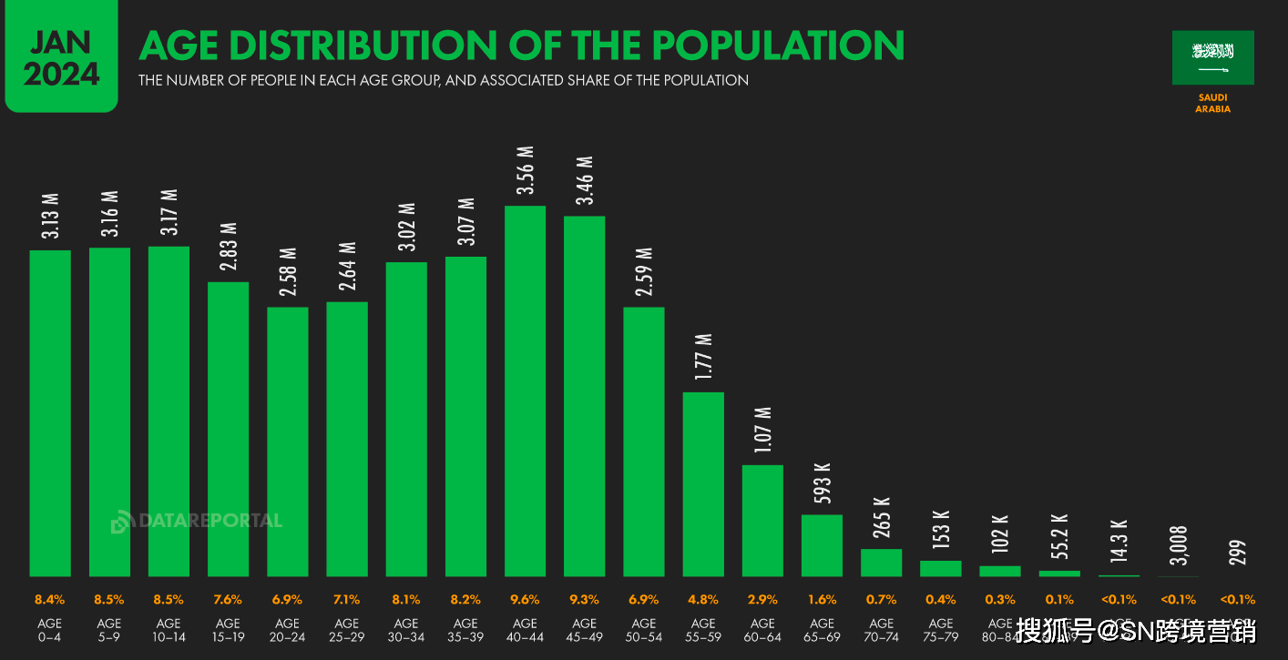 2024年阿拉伯人口_数字2024:中东沙特阿拉伯