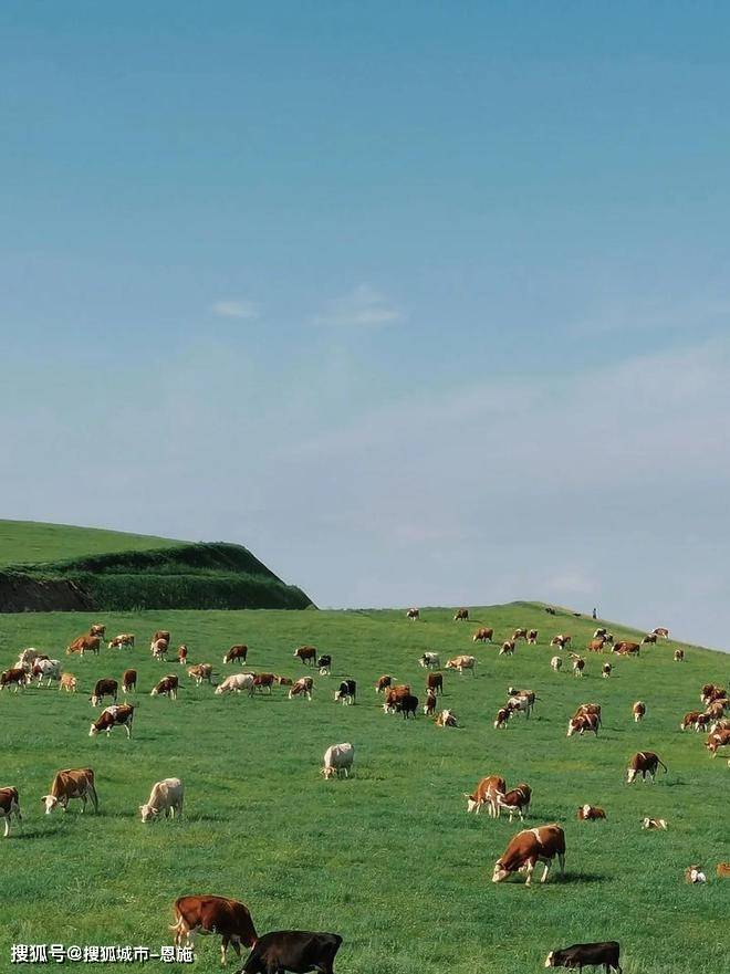 内蒙古呼伦贝尔六日游旅游攻略及花费大概多少钱?内蒙6天5晚跟团价格