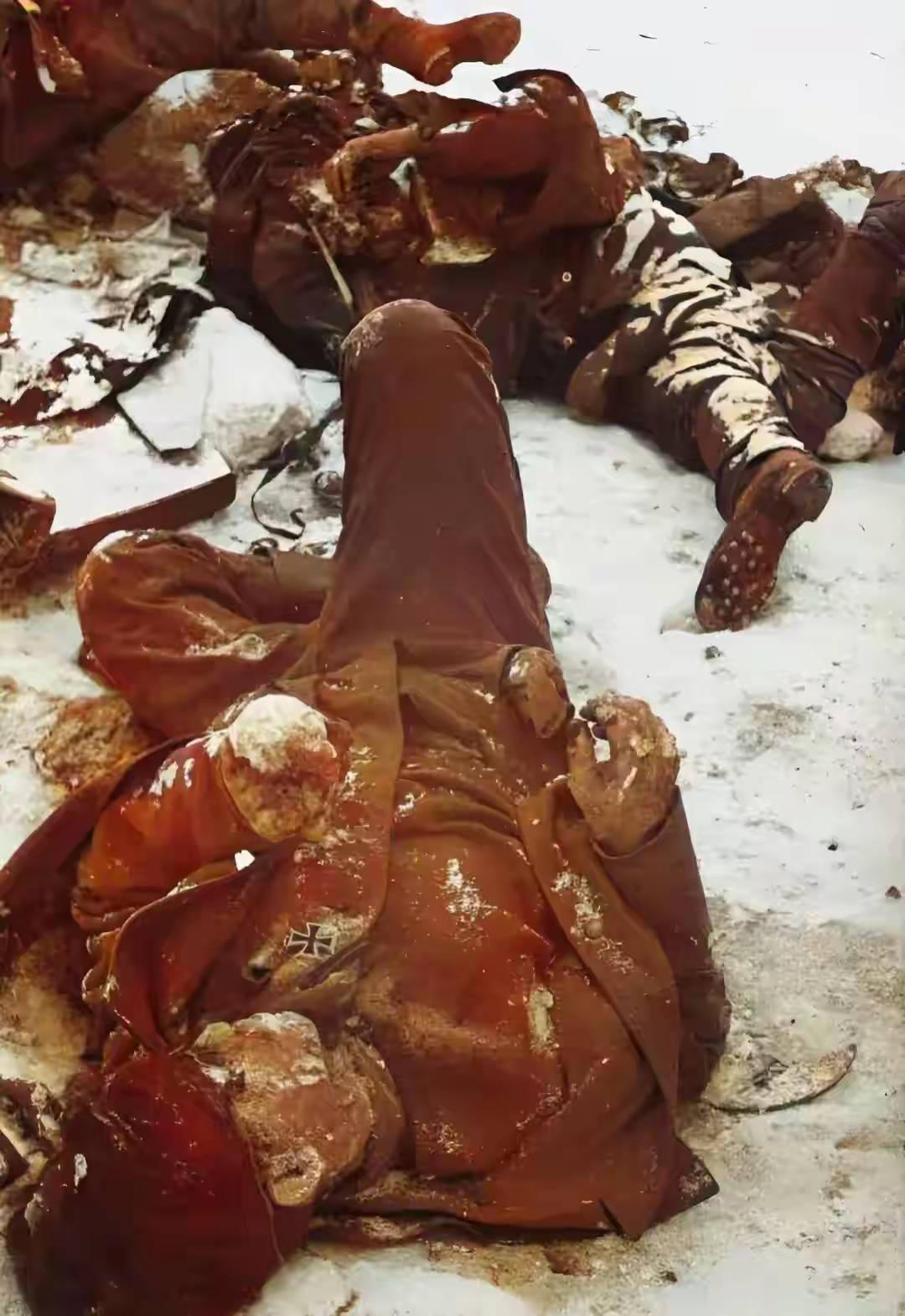 二战回忆录《3》斯大林格勒阵亡的士兵!