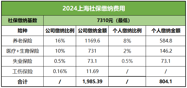 个人怎么缴纳社保(自己个人怎么缴纳社保)