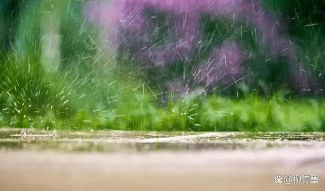 雨天拍照诗意唯美,摄影高手"打个样",照片高级有意境