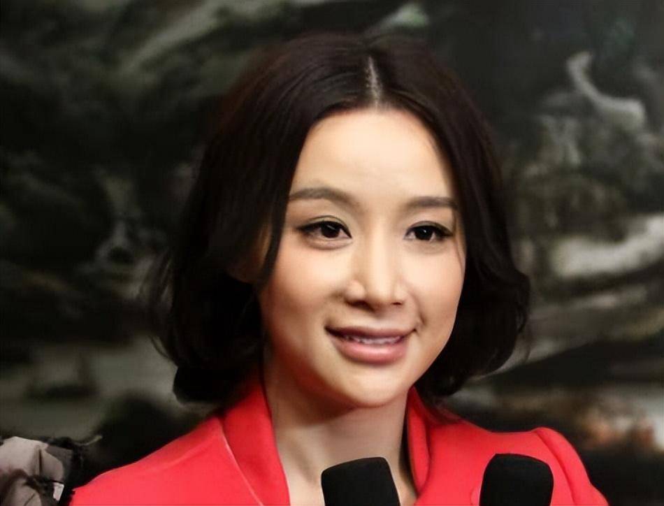 原本大气婉约的脸型,变成了当时挺流行的"锥子脸".