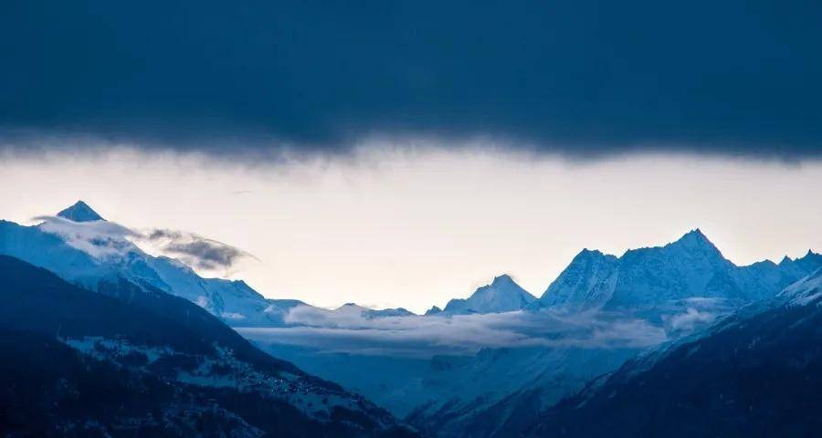 下一阶段家电厂商的拼抢方向定了!-家电圈官网