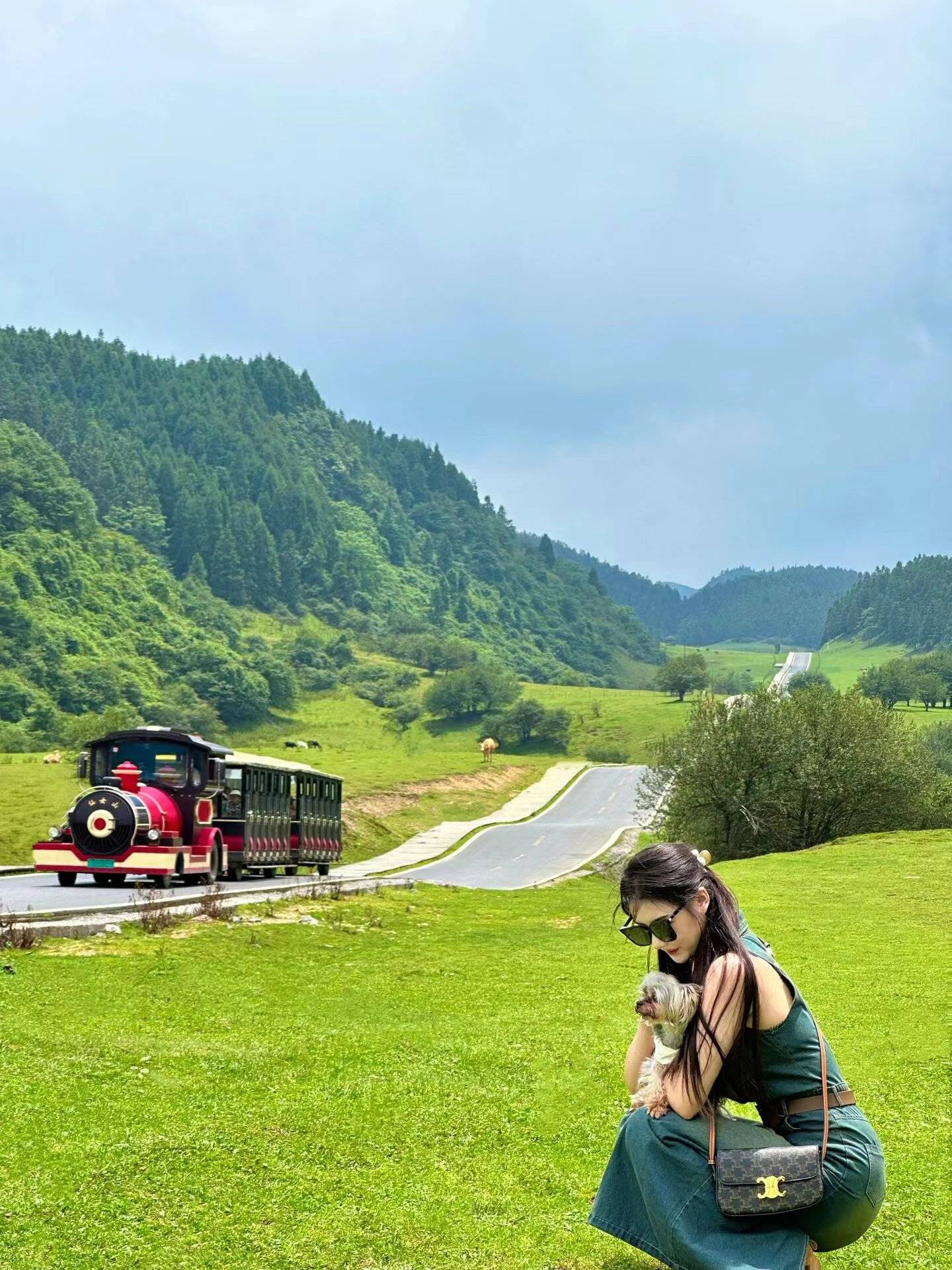 仙女山大草原介绍图片