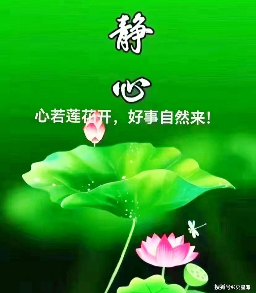 在这个充满活力的世界里,我们人的幸福来源于感觉,人的快乐来源于心态