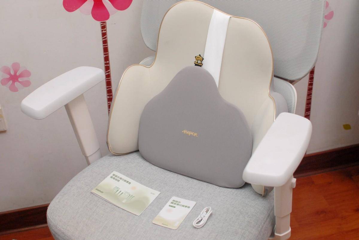 锐珀尔腰背滑行按摩器: “高山流水”式舒爽,久坐族的私人理疗师