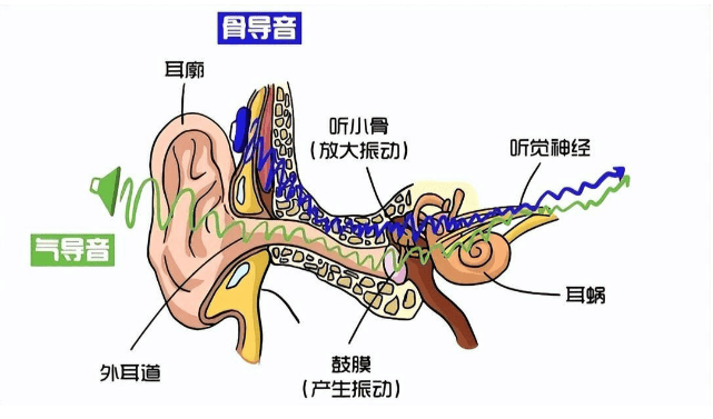 开放式耳机好还是入耳式耳机好?五大高性价比耳机推荐