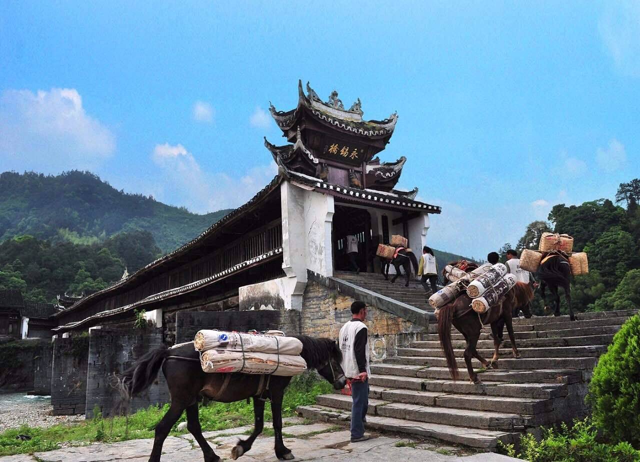 湖南旅游必去景点排行榜前十名