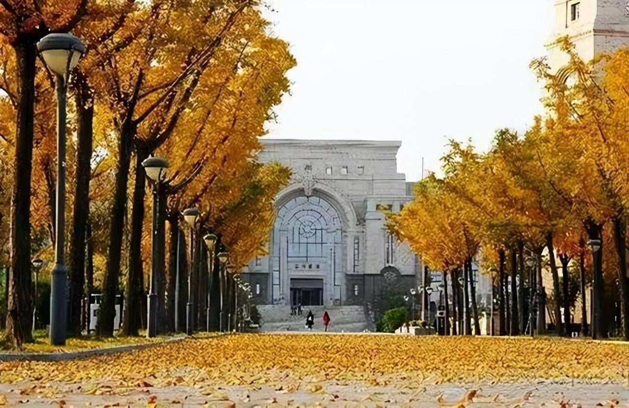 天津排名大学有哪些_天津排行大学_天津大学排名