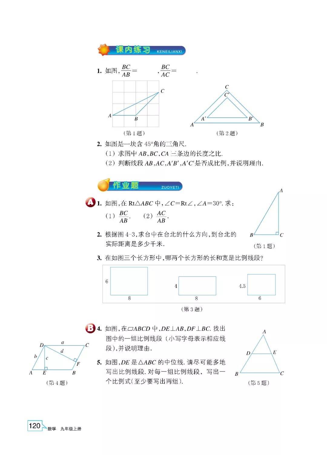 语文数学九上浙教版
  第1张