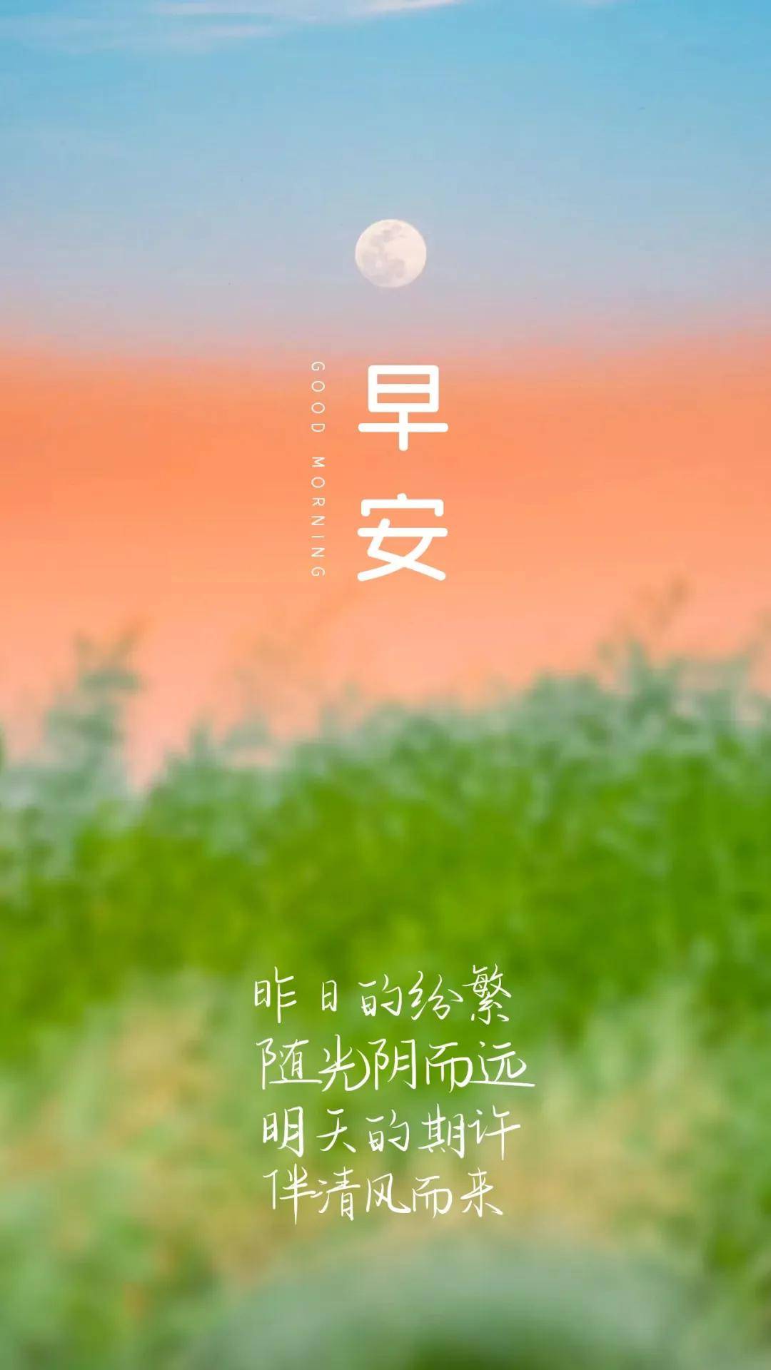 早安语录正能量句子!新的一天,新的开始!